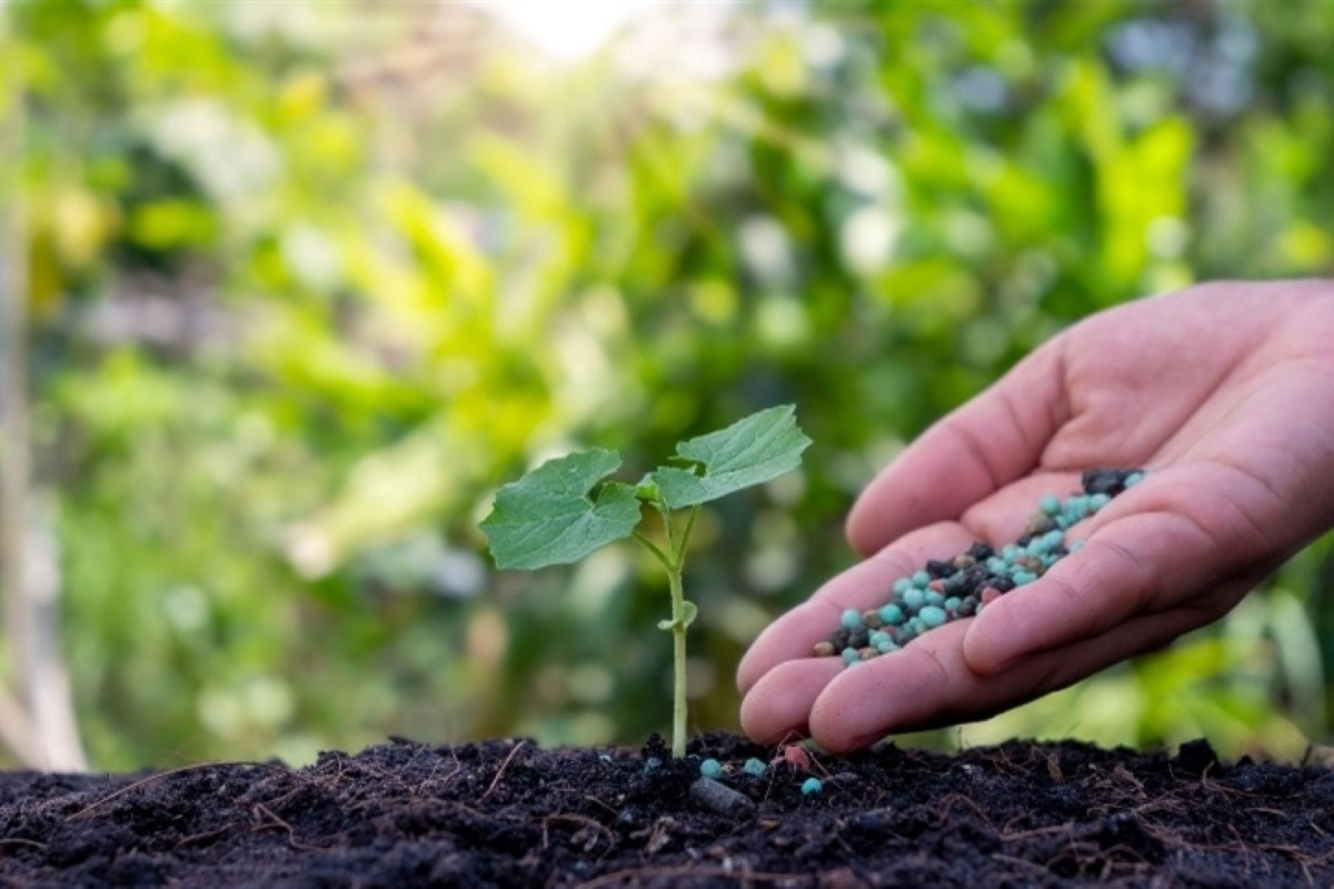 Área de Adubos e Fertilizantes